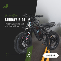 DITON D9 1500W Electric Fat Tire Off-Road E-Bike – 52V 25Ah, Dual Suspension | In Stock – Ships Within 24 Hours