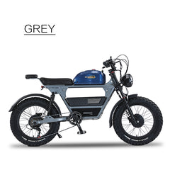 RIO - DUAL MOTORS 48V, 2* 1500W Free shipping to lower 48 states. Shipped from US warehouse