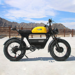 RIO - DUAL MOTORS 48V, 2* 1500W Free shipping to lower 48 states. Shipped from US warehouse