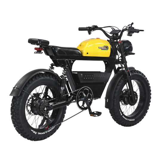 Tank300 | Upgraded Version | High-Capacity 35Ah Battery