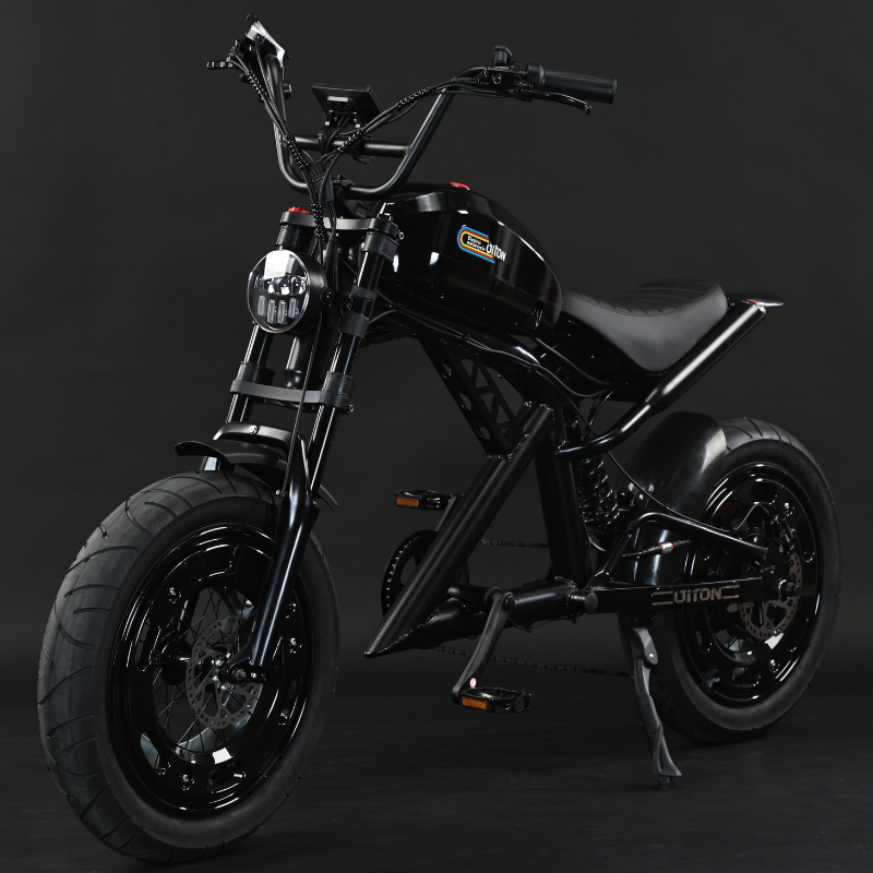Diton H1 Electric Motorcycle – 52V 1500W Harley-Style E-Motorbike, 30Ah Long-Range Lithium Battery, Fat Tire Performance