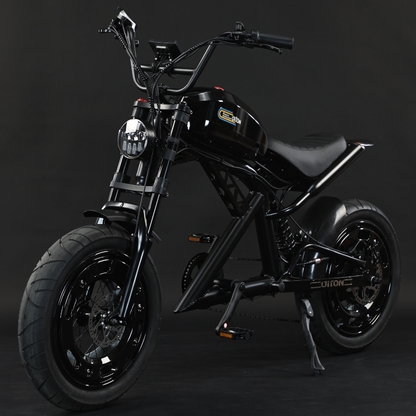 Diton H1 Electric Motorcycle – 52V 1500W Harley-Style E-Motorbike, 30Ah Long-Range Lithium Battery, Fat Tire Performance