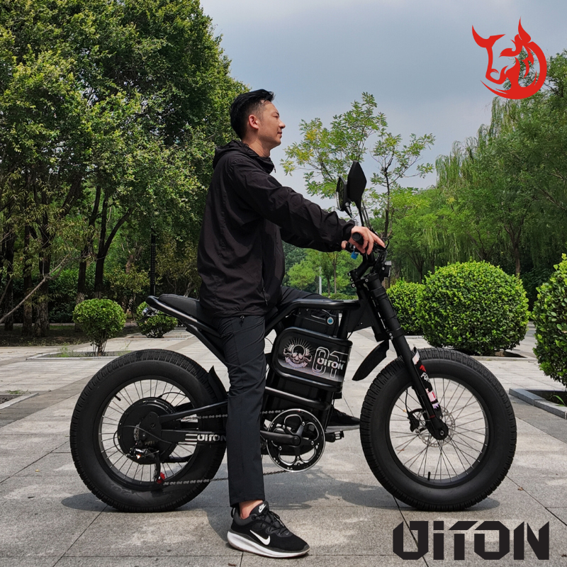DITON S300 60V 3000W High-Power Electric Mountain Bike – Dual Suspension, 25Ah Lithium, 7-Speed, >50km/h Off-Road E-Bike