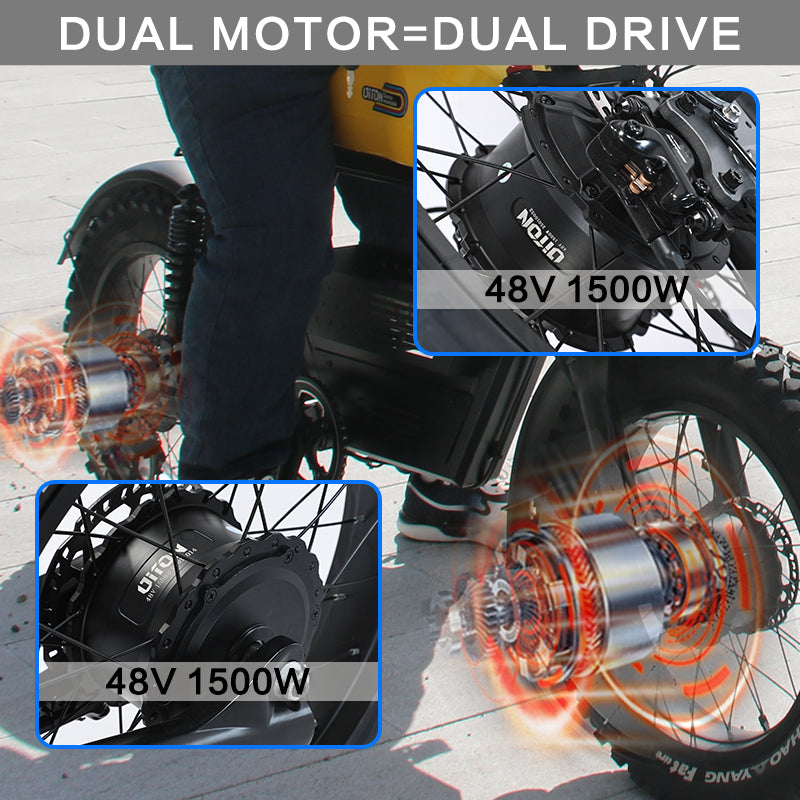 RIO - DUAL MOTORS 48V,  2* 1500W  Free shipping  to lower 48 states. Shipped from US warehouse