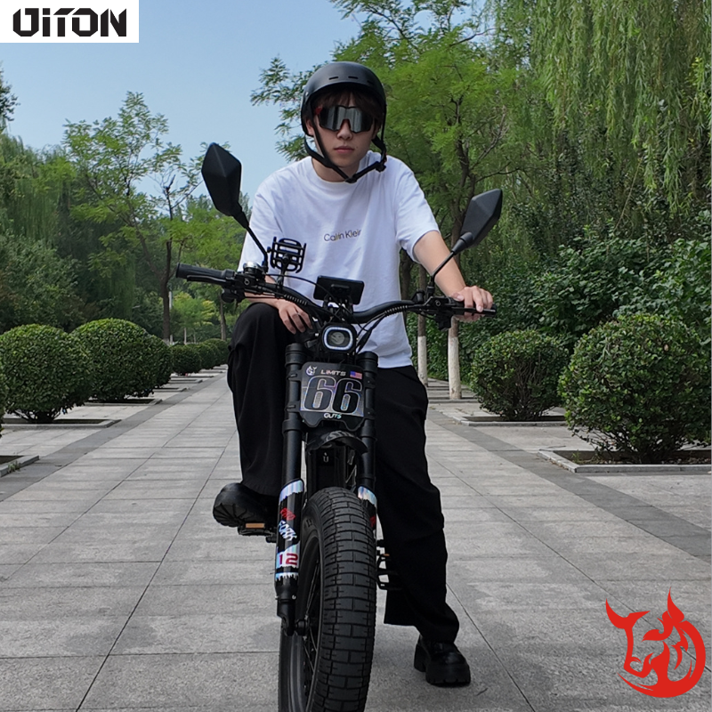 Pre-Order DITON D9 – 1500W Off-Road Fat Tire Electric Bike, 52V 25Ah Dual Suspension | Ships Sept 1