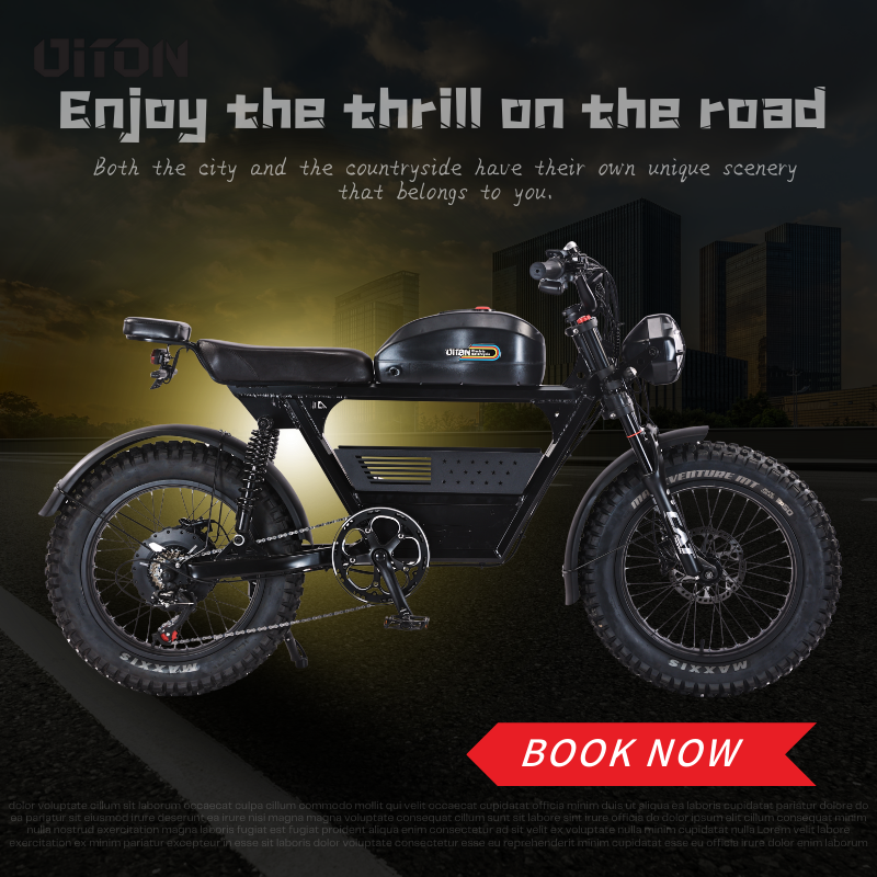 DITON Tank Pro Electric Bike 52V 1500W – All-Terrain Fat Tire, Long Range, Hydraulic Brakes