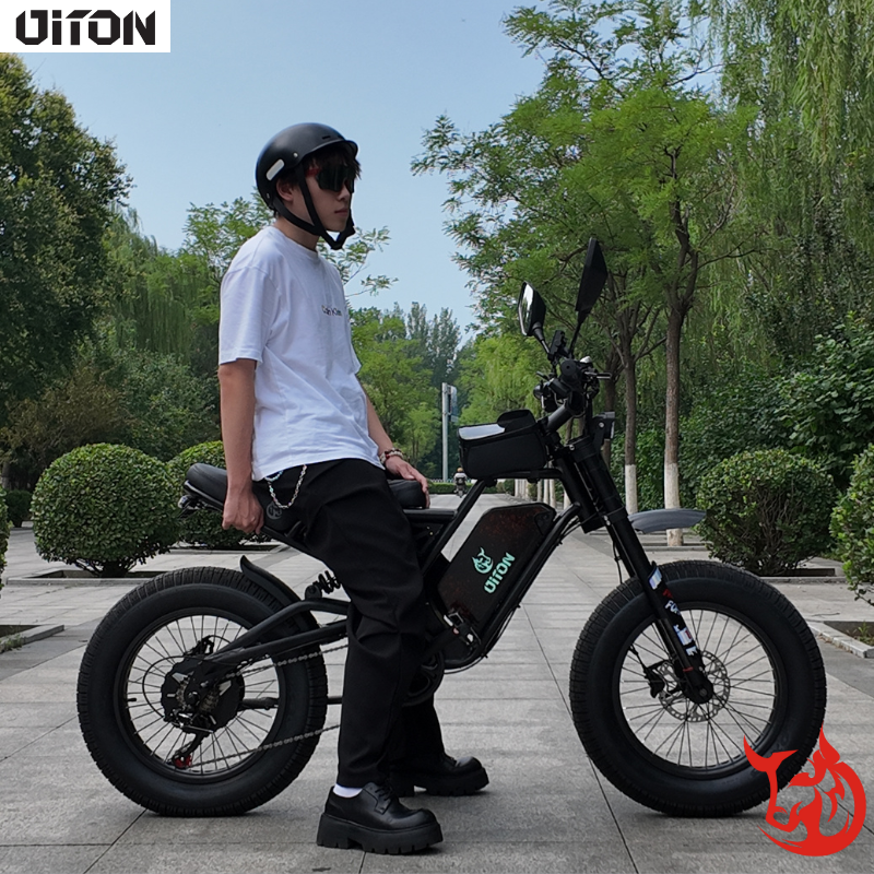 Pre-Order DITON D9 – 1500W Off-Road Fat Tire Electric Bike, 52V 25Ah Dual Suspension | Ships Sept 1