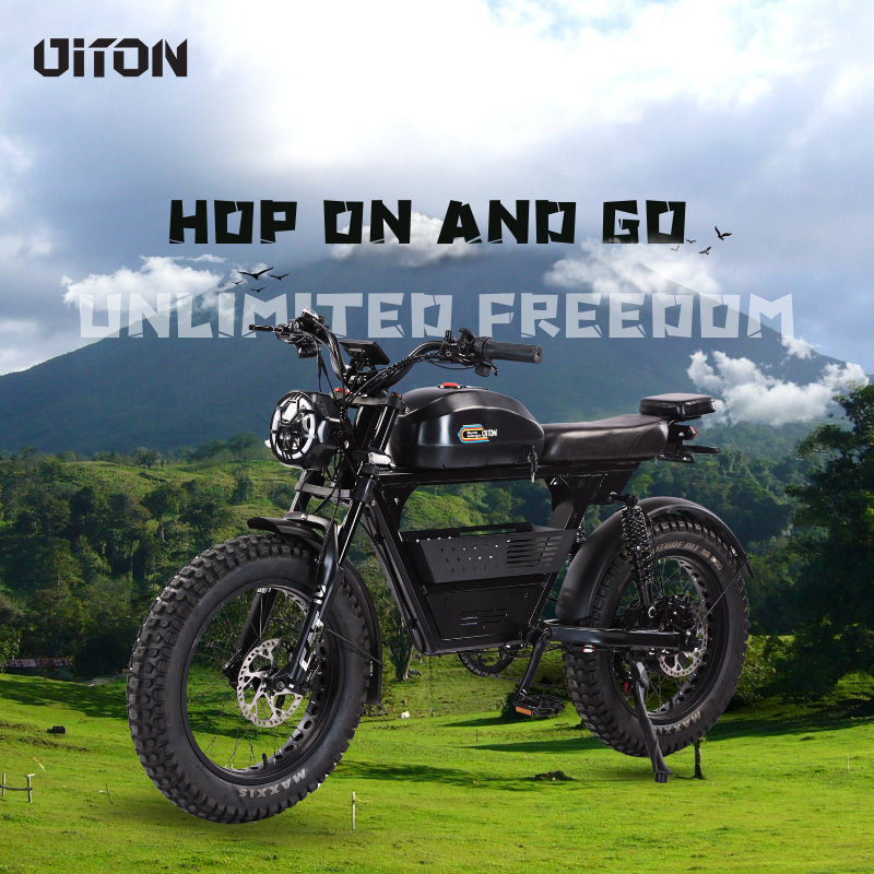 DITON Tank Pro Electric Bike 52V 1500W – All-Terrain Fat Tire, Long Range, Hydraulic Brakes