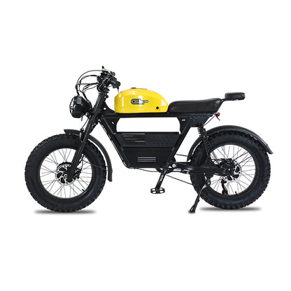 RIO - DUAL MOTORS 48V,  2* 1500W  Free shipping  to lower 48 states. Shipped from US warehouse