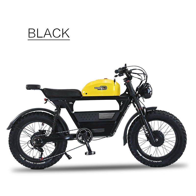 RIO - DUAL MOTORS 48V,  2* 1500W  Free shipping  to lower 48 states. Shipped from US warehouse