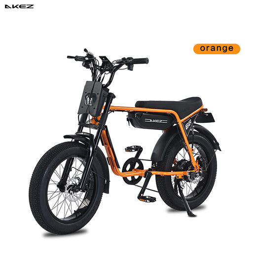 AKEZ Retro Electric Scooter Bike ZX 750W 3 speeds